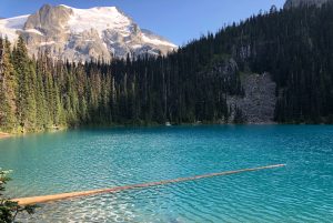 Joffre Lake Hike in Garibaldi - Wander Vancouver