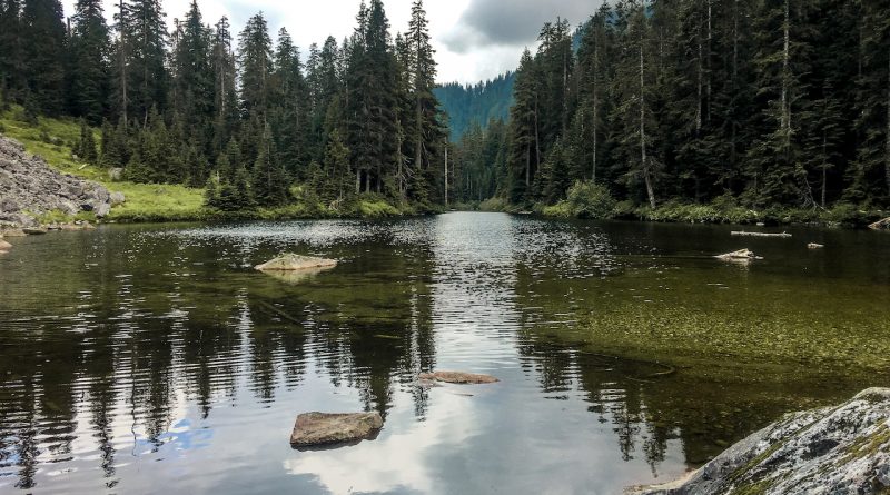 Lynn Lake Hike - Wander Vancouver