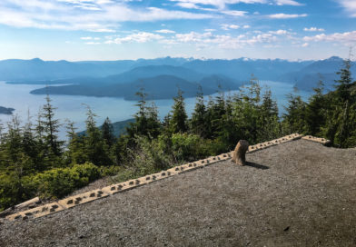 Bowen Lookout - Wander Vancouver