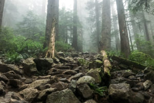 Grouse Grind Hike - Wander Vancouver