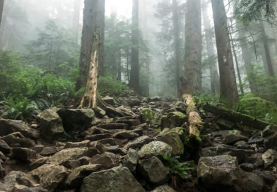 Grouse Grind Hike - Wander Vancouver