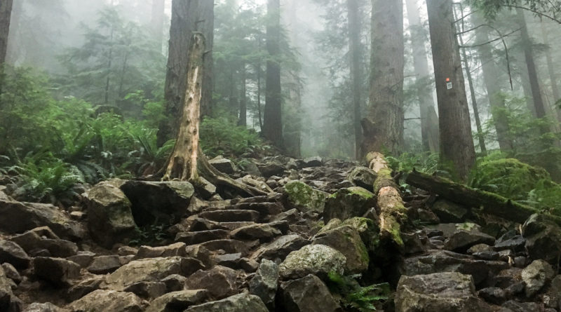Grouse Grind Hike - Wander Vancouver